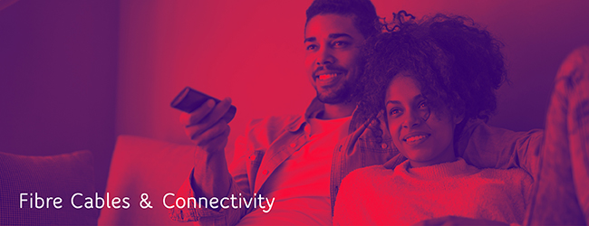 Webro Cable and Connectors-posters